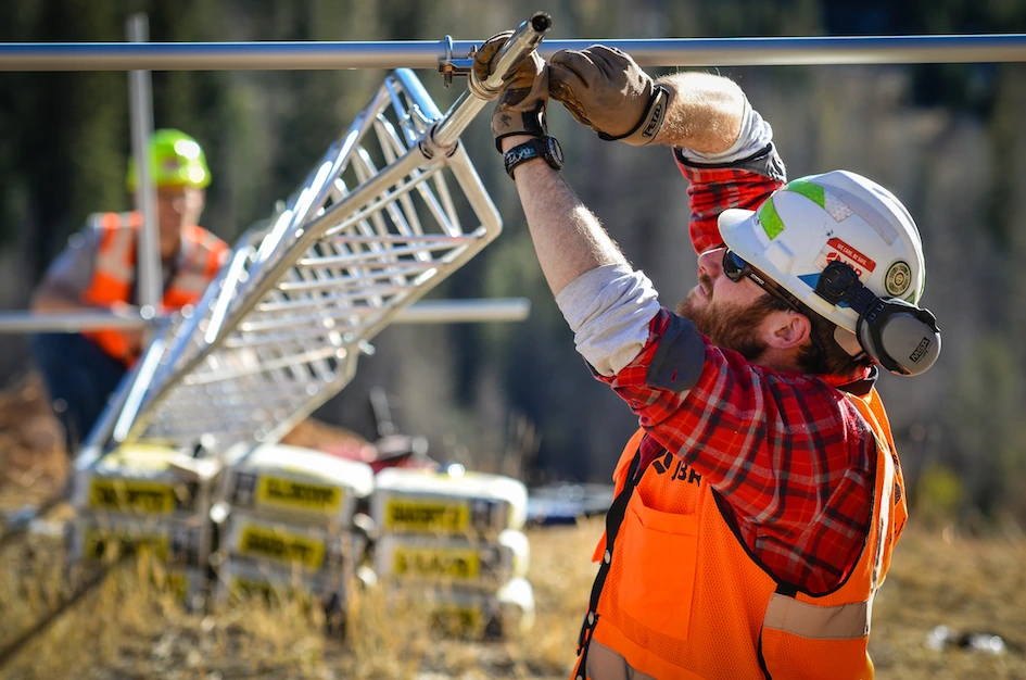 Field workers working